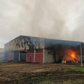 Los dueños de las 700 ovejas muertas en el incendio de Caleruega perdieron 350 en otro accidente