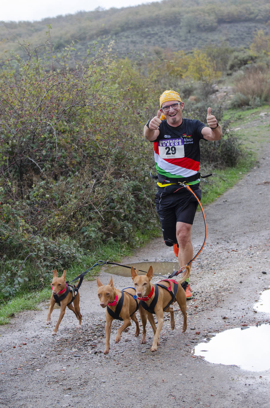 66 participantes disfrutan junto a sus perros de naturaleza y deporte en Urrez