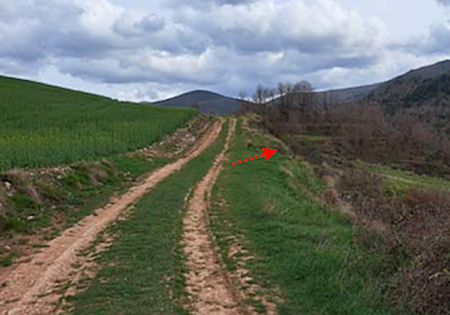 Terrenos donde está proyectado el observatorio.