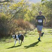 Perrunners Burgos, pasión por los perros y el deporte en la naturaleza