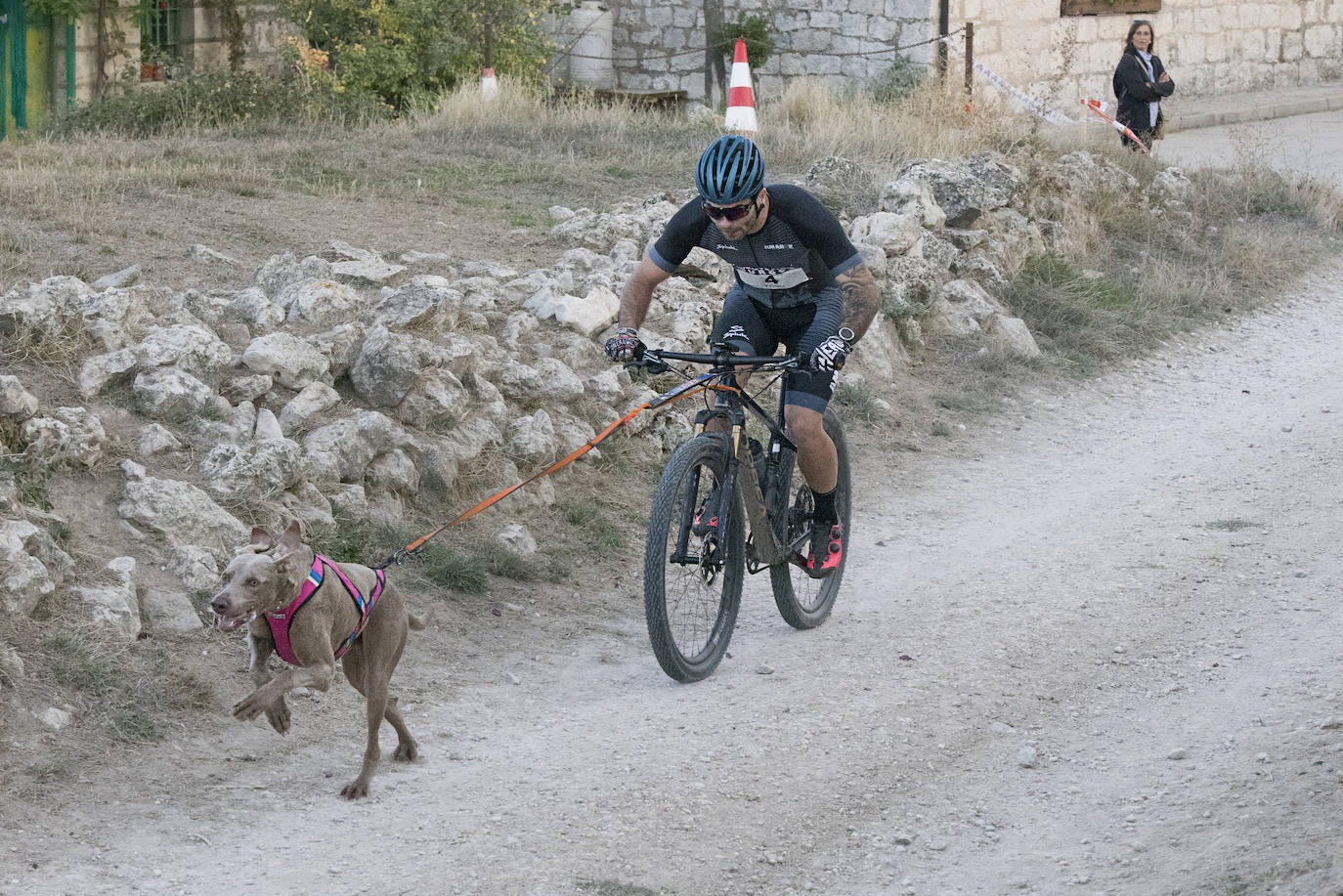 Deporte, naturaleza y mascotas para todos en Burgos