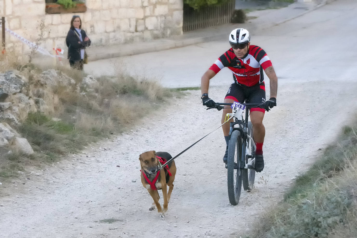 Deporte, naturaleza y mascotas para todos en Burgos