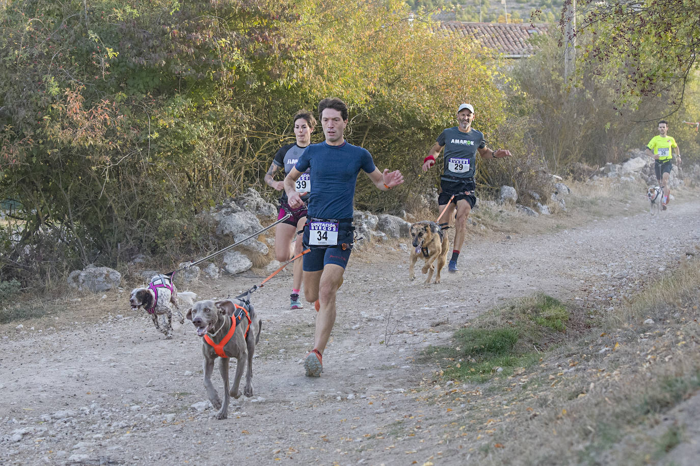 Deporte, naturaleza y mascotas para todos en Burgos