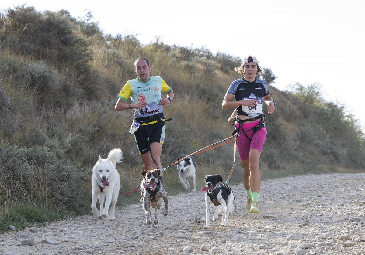 Deporte, naturaleza y mascotas para todos en Burgos