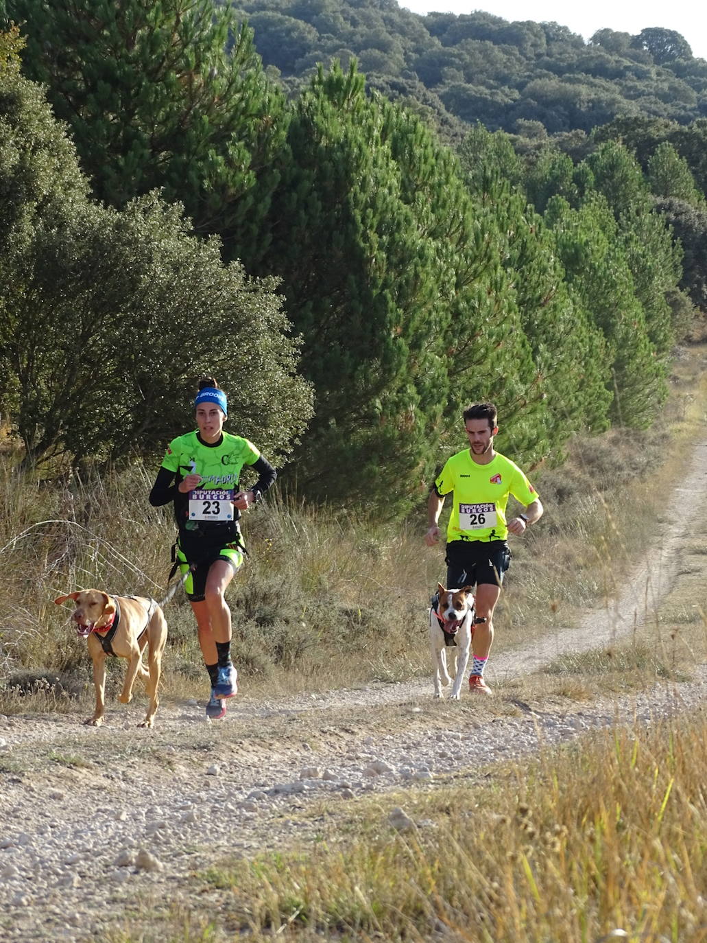 Deporte, naturaleza y mascotas para todos en Burgos