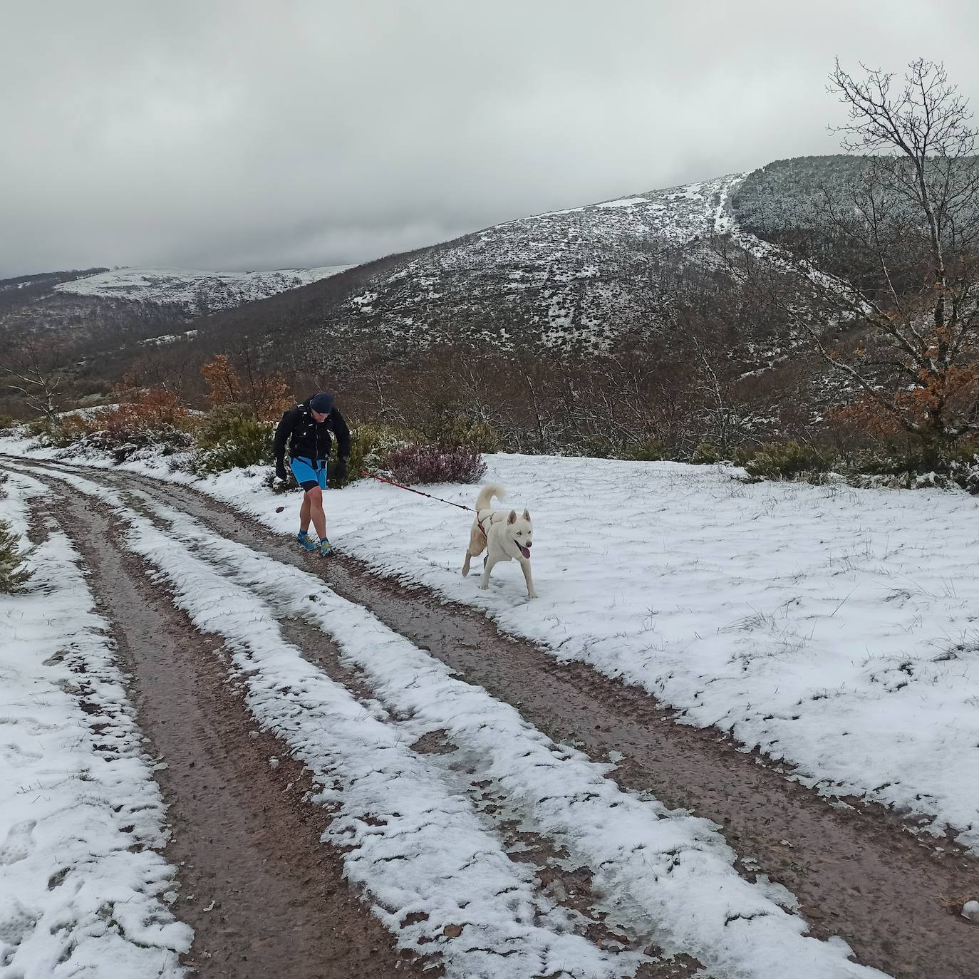 Deporte, naturaleza y mascotas para todos en Burgos