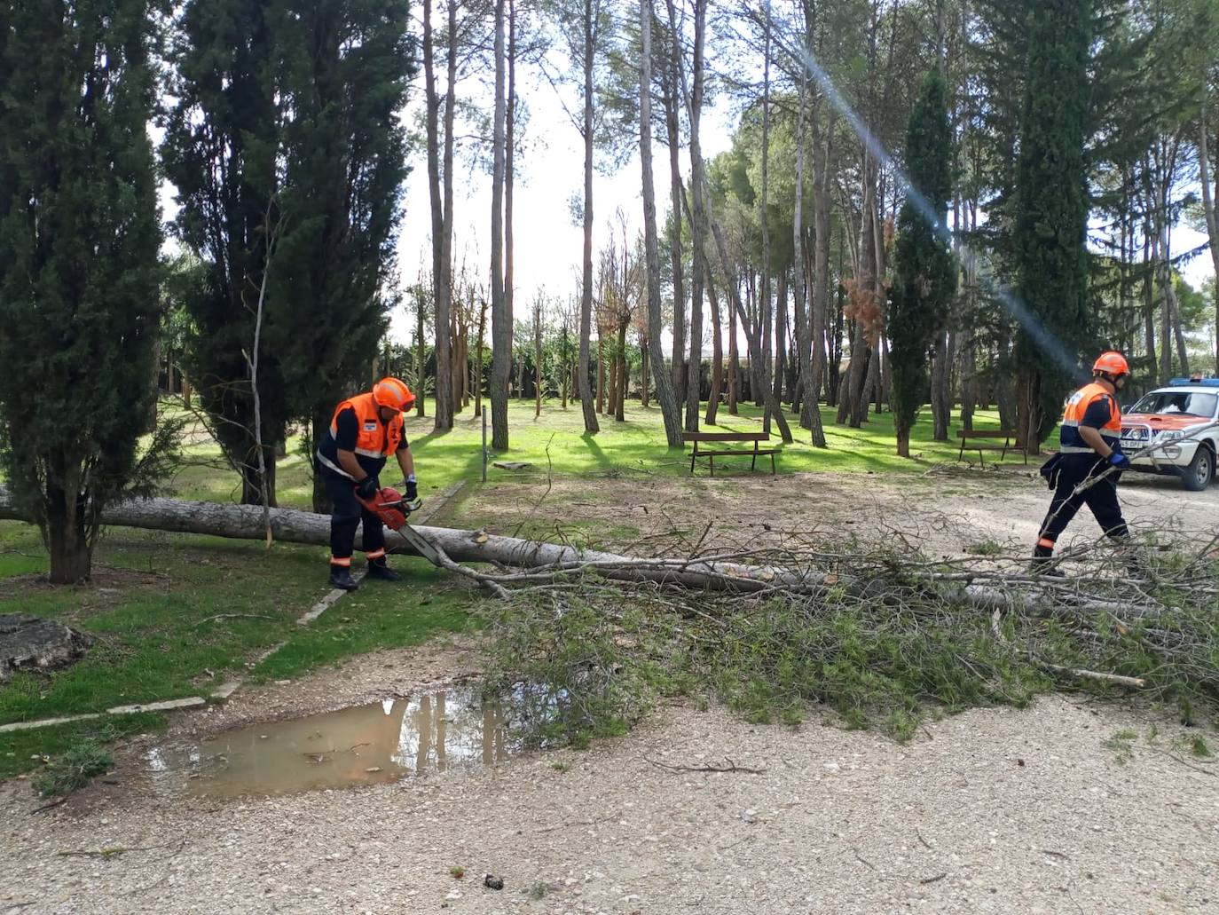 El parque General Gutiérrez de Aranda permanecerá cerrado un mes para retirar los árboles caídos