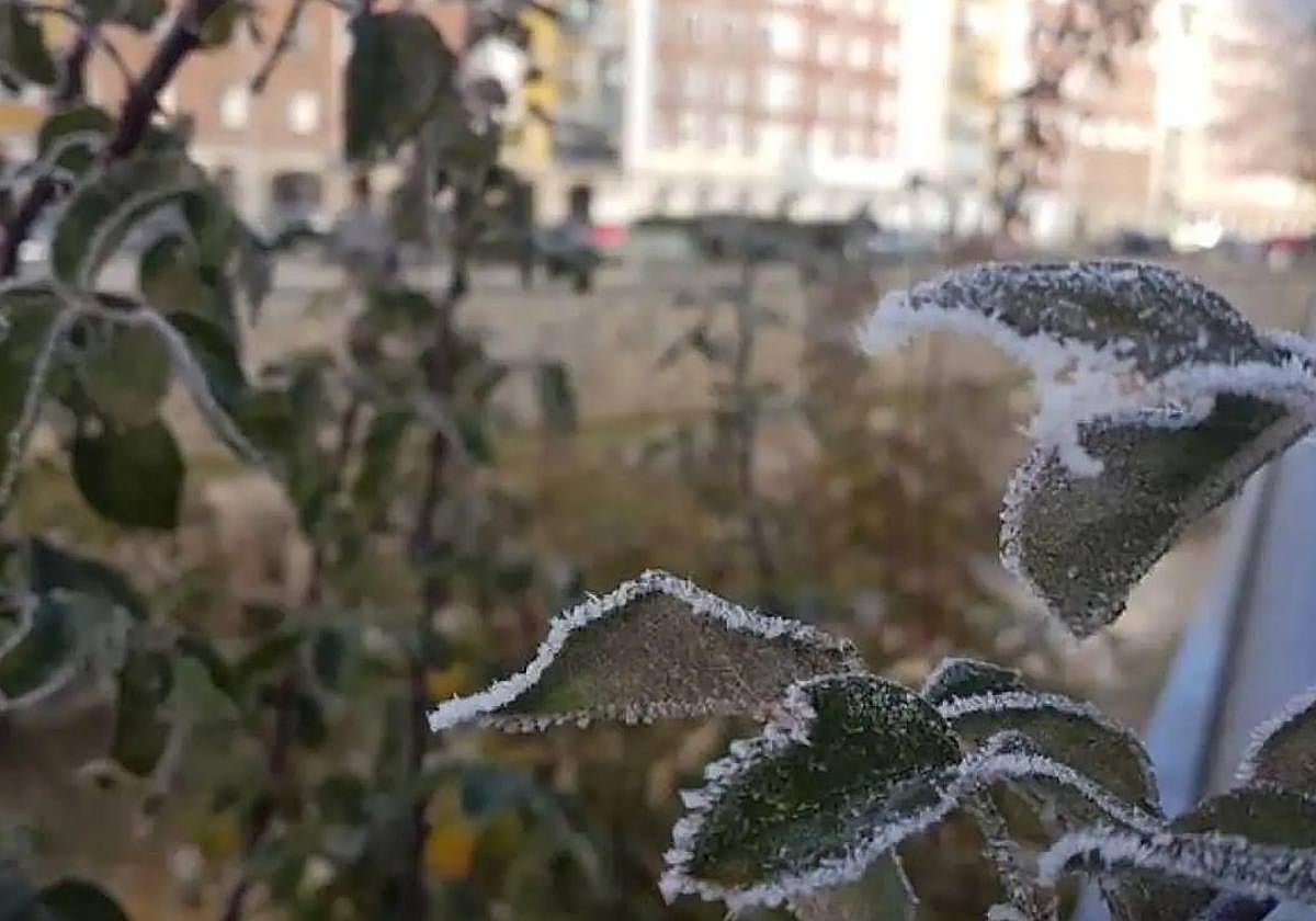 Aemet prevé que las temperaturas desciendan de forma brusca en toda la provincia de Burgos.