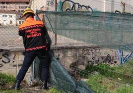 Protección Civil organiza en Burgos el 28 de noviembre la carrera solidaria 'Una milla a favor de la ELA'