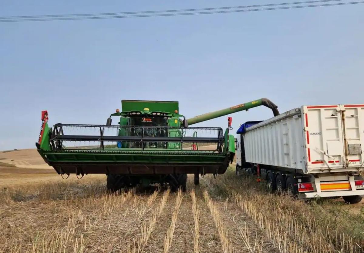 La tierra de labranza se encarece un 3,8% en Castilla y León en 2022