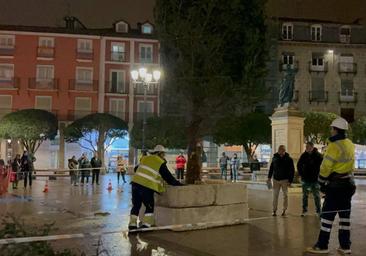 Así llegó el árbol de Navidad a la Plaza Mayor de Burgos