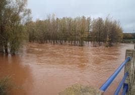 Imágenes del desbordamiento del río Arlanza este viernes a su paso por la localidad burgalesa de Lerma