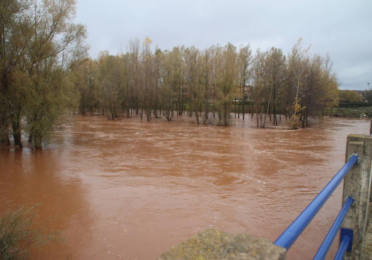 Las lluvias provocan desbordes del Arlanza en Lerma