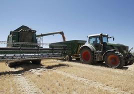 La tierra de cultivo se encarece un 6,6% en Burgos.