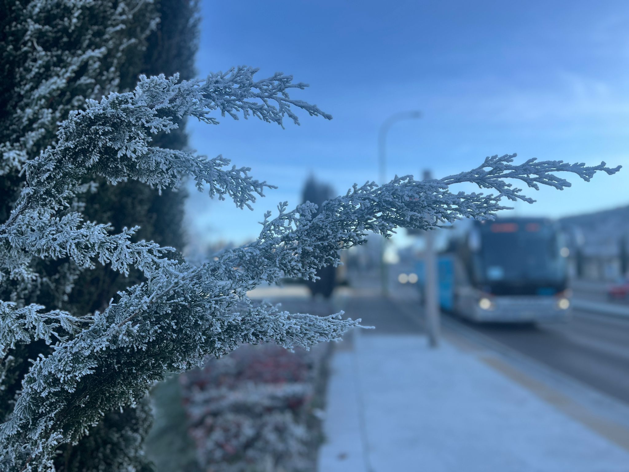 Burgos despierta blanca con una nueva cencellada