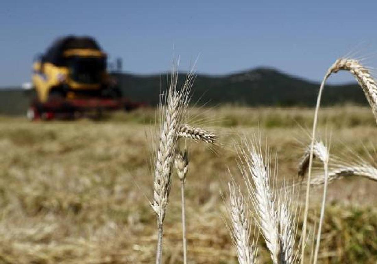 Agricultores y ganaderos de Castilla y León recibirán 828 millones de euros.