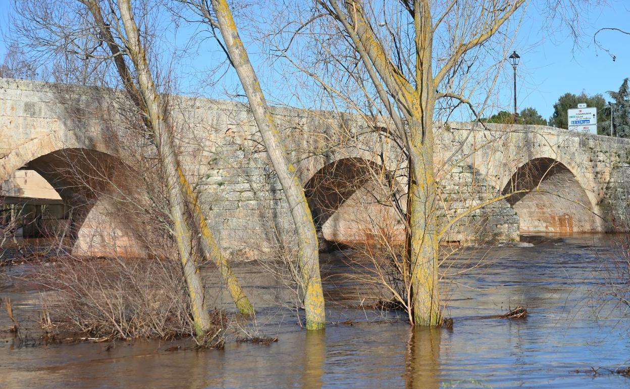 Imagen del Arlanza a su paso por Lerma. 