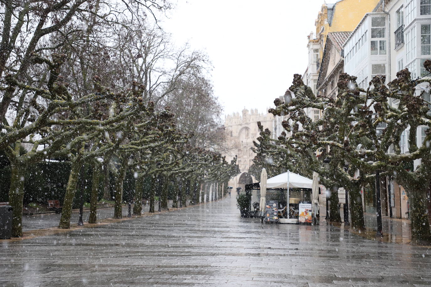 Fotos: Llega la nieve a Burgos capital