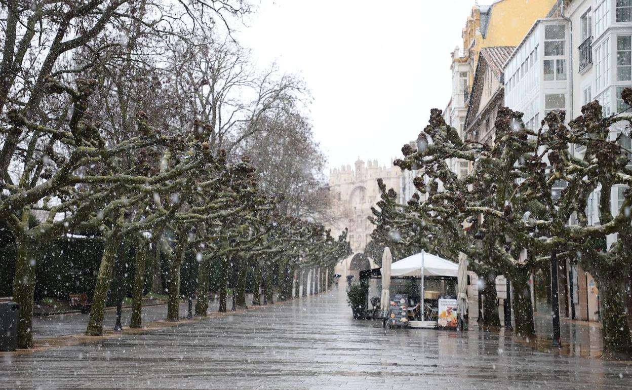 La nieve será protagonista en Burgos durante toda la semana.