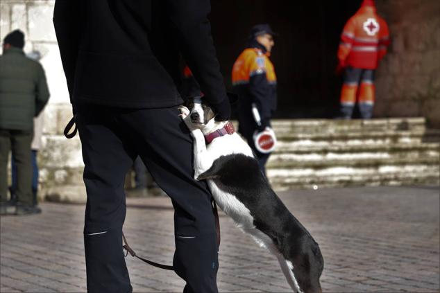 Fotos: Los burgaleses abrigan a sus mascotas para bendecirlas en San Antón