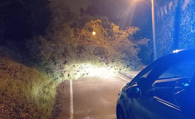 Los fuertes vientos dejan dos heridos por la caída de un árbol y decenas de avisos a emergencias