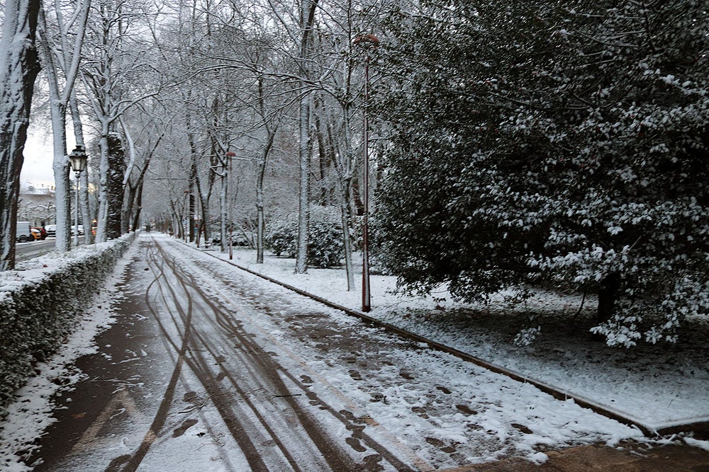 Fotos: La nieve llega a Burgos