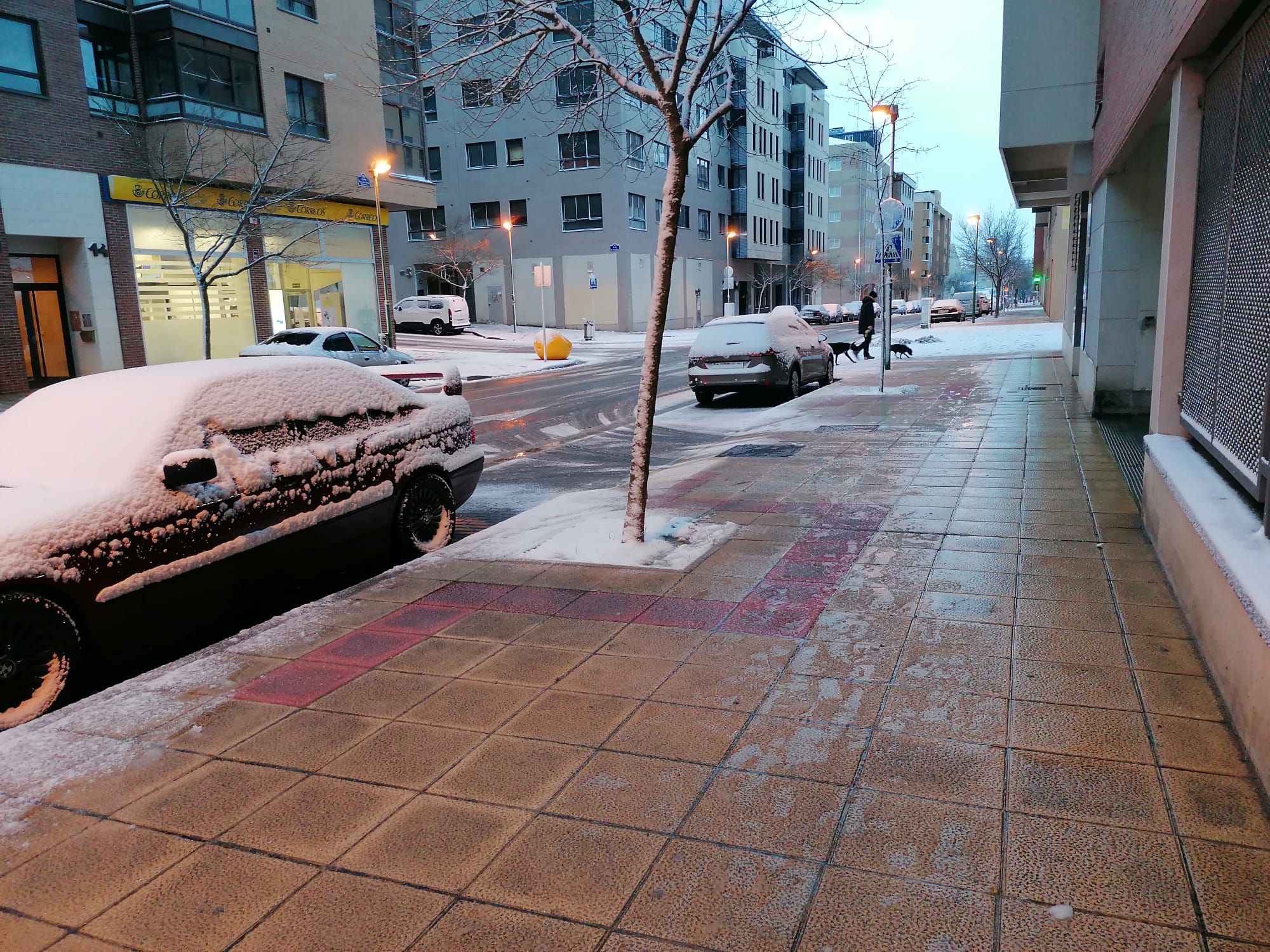 Fotos: La nieve llega a Burgos