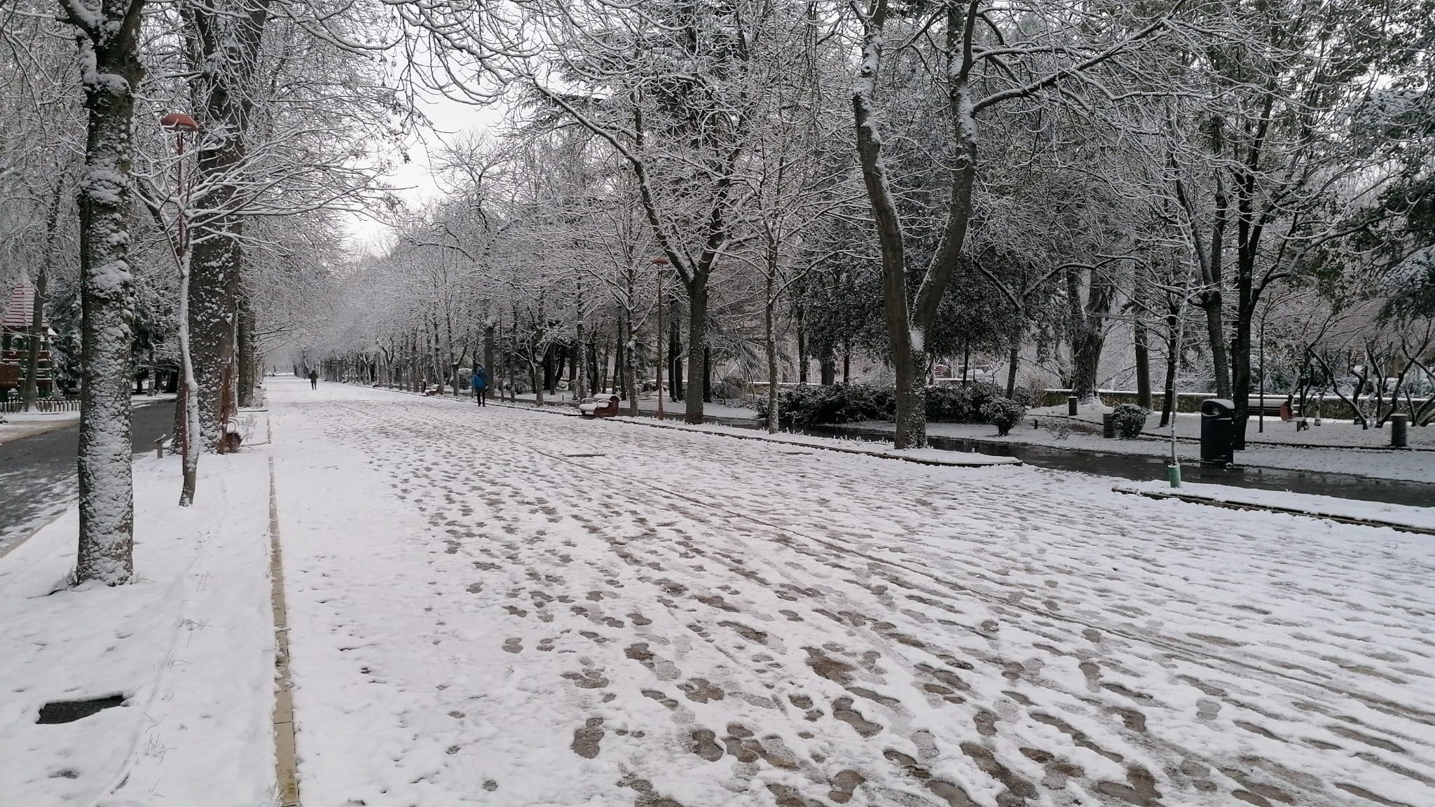 Fotos: La nieve llega a Burgos