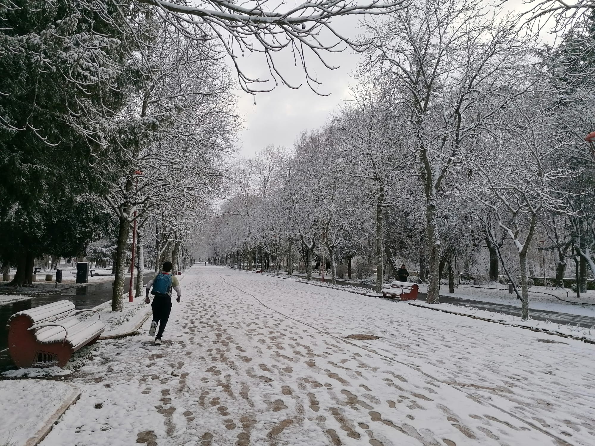 El temporal cumple en Burgos con mucho frío y nieve