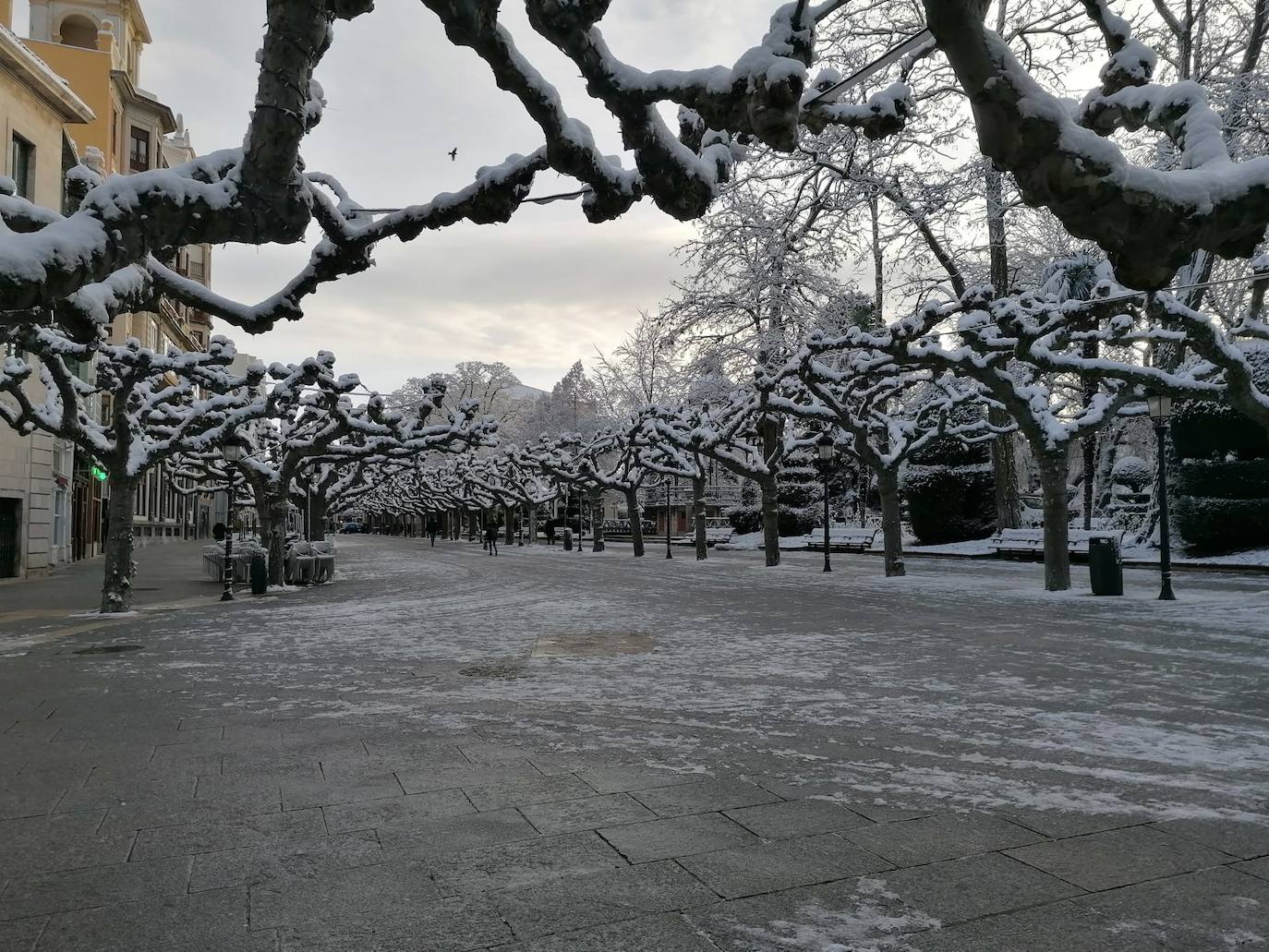 Aceras cubiertas de hielo en el paseo del Espolón. 