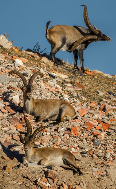 'La escombrera' foto de Carlos Bueno, ganadora del concurso. 