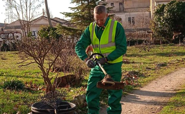 Actividad durante el curso de jardinería en Aranda 