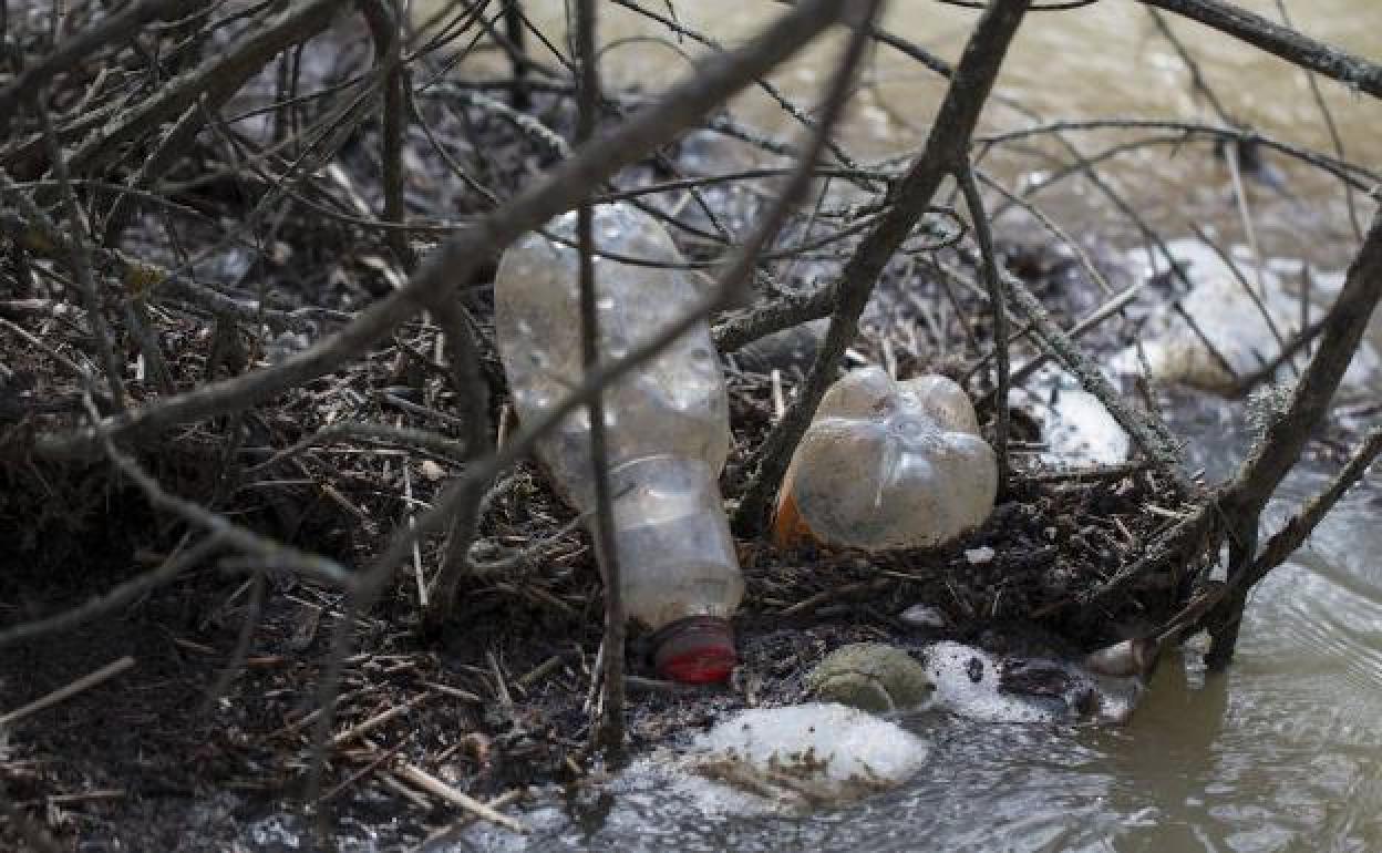 Unas botellas de agua tiradas en el río. 
