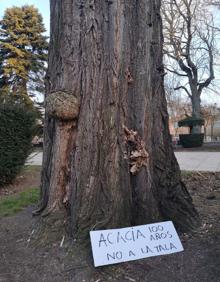 Imagen secundaria 2 - Carteles de despedida de las acacias en el Espolón 