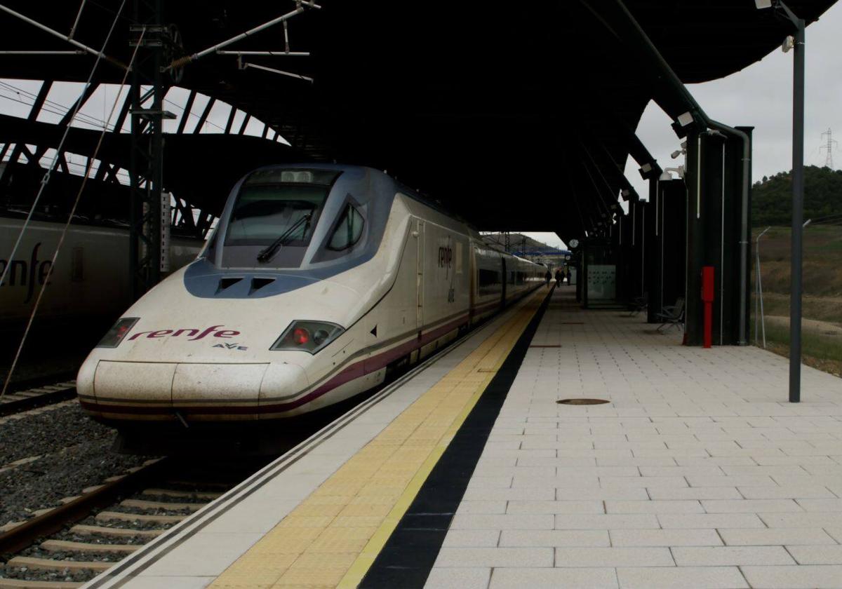 Ave estacionado en un andén de la estación Burgos Rosa de Lima.