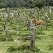 El escenógrafo de Sad Hill tendrá su propio museo en Burgos