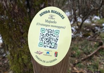 Desaparecen y vandalizan las señales de una ruta en Pineda de la Sierra