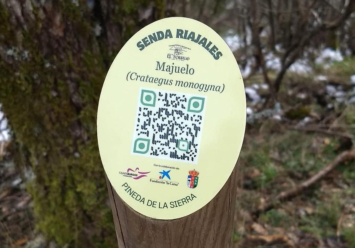 Señales recién puestas de la Senda Riajales, en Pineda de la Sierra.