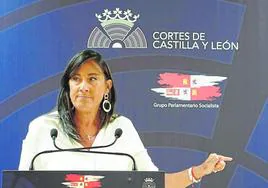 Ana Sánchez, secretaria de Organización del Partido Socialista de Castilla y León.