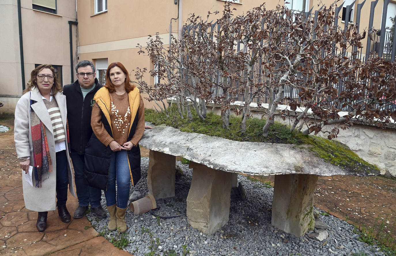 Museo del Bonsai de Villagonzalo Pedernales