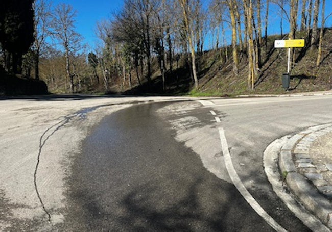 El reguero se perdía en la bajada de la carretera.