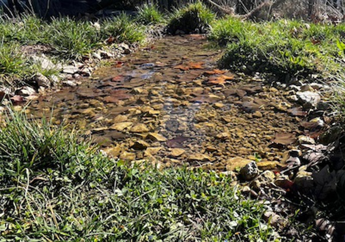 El charco de agua limpia da indicios de fuga.