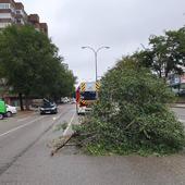 La provincia, en aviso amarillo por fuertes rachas de viento