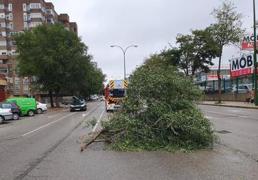 La provincia, en aviso amarillo por fuertes rachas de viento