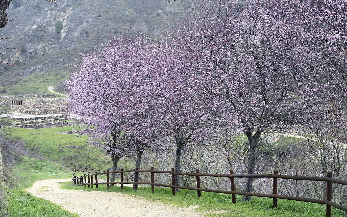 Poza de la Sal, destino turístico por excelencia