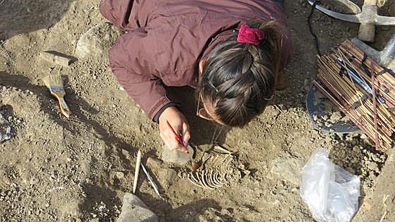 270.000 euros para excavar el patrimonio arqueológico y paleontológico de Burgos