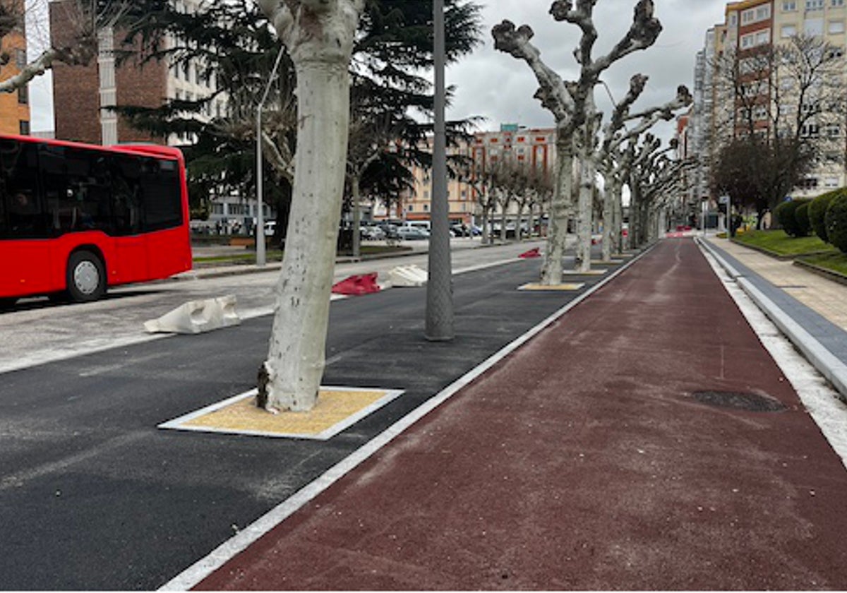 Obras de la calle Vitoria.