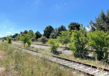 Puente ve difícil reabrir el Tren Directo y asegura que las cosas «no pintan bien»