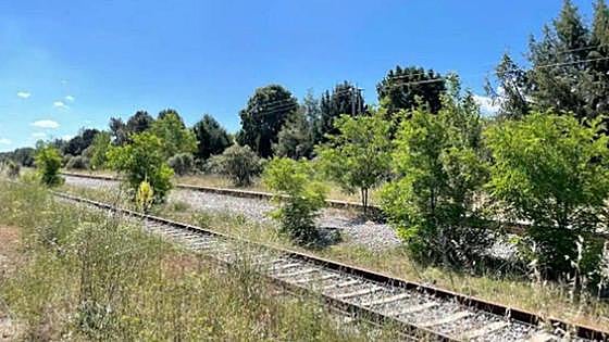 Puente ve difícil reabrir el Tren Directo y asegura que las cosas «no pintan bien»