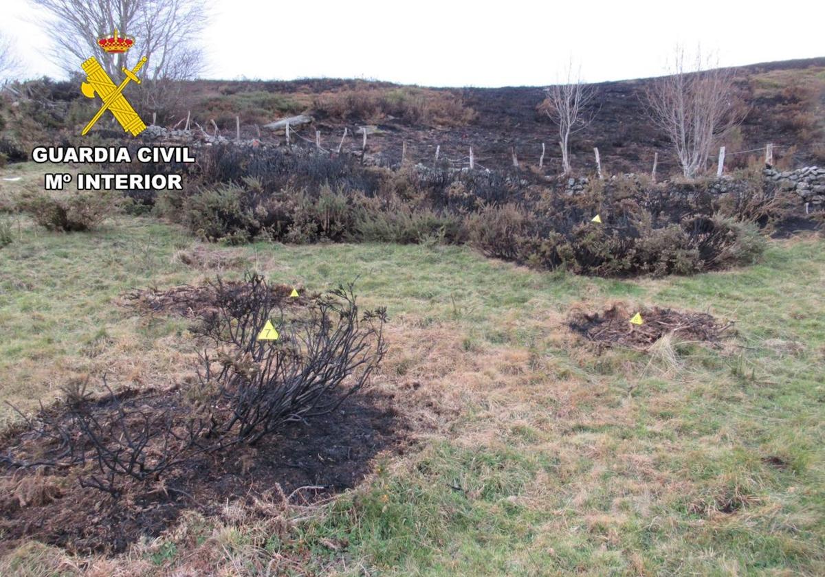 Monte quemado en el paraje Rioseco de Espinosa de los Monteros